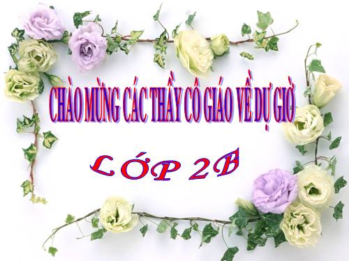 Tuần 14. Câu chuyện bó đũa