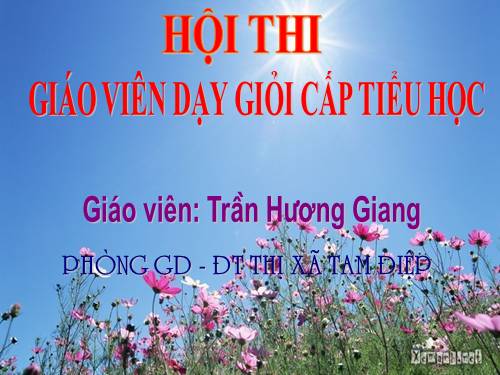 Tuần 20. Mùa xuân đến