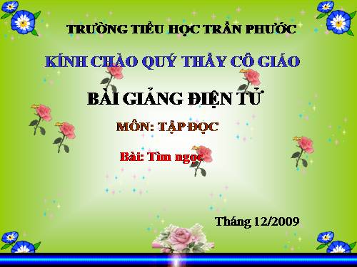 Tuần 17. Tìm ngọc