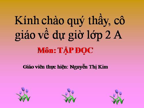 Tuần 8. Bàn tay dịu dàng