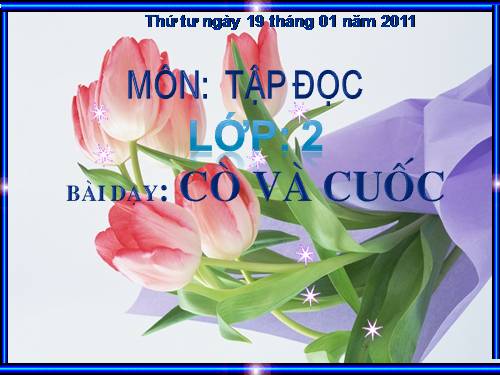 Tuần 22. Cò và Cuốc
