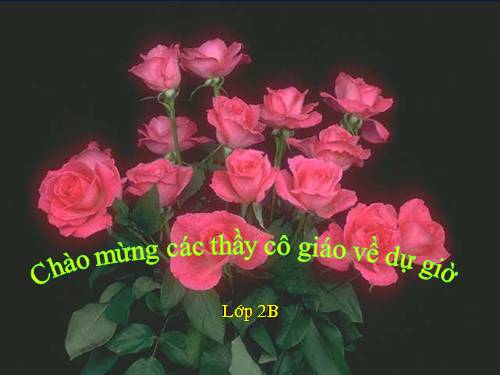 Tuần 22. Một trí khôn hơn trăm trí khôn