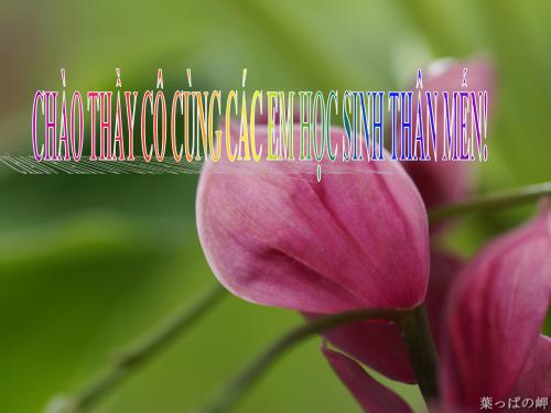 Tuần 6. Ngôi trường mới