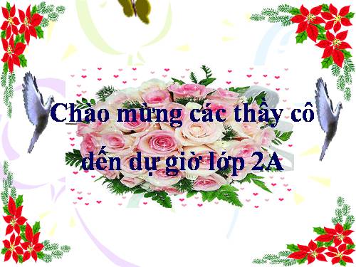 Tuần 20. Mùa xuân đến