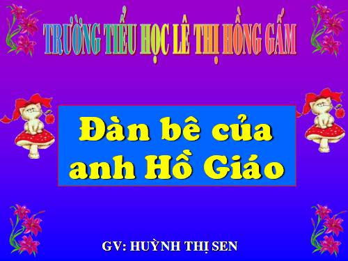 Tuần 34. Đàn bê của anh Hồ Giáo