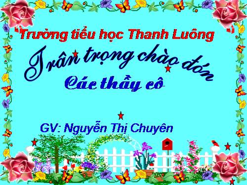 Tuần 21. Vè chim