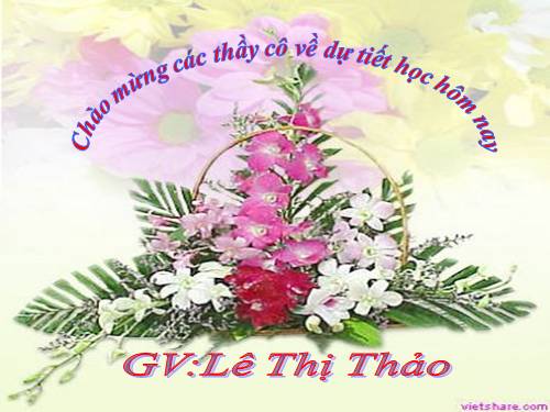 Tuần 21. Chim sơn ca và bông cúc trắng