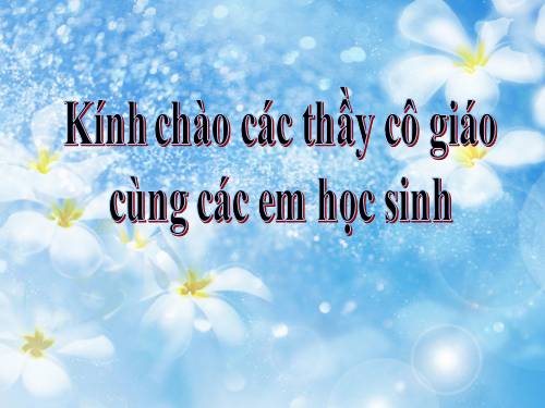 Giáo án Hội giảng