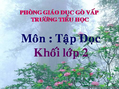 Tuần 31. Cây và hoa bên lăng Bác