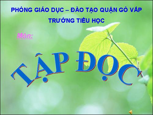 Tuần 28. Cây dừa