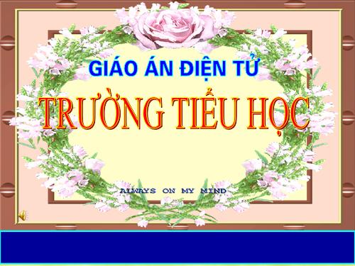 Tuần 22. Cò và Cuốc