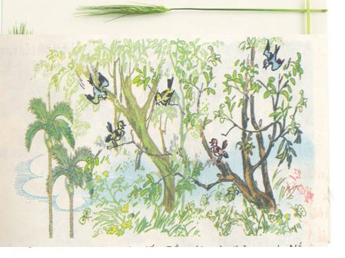 Tuần 20. Mùa xuân đến