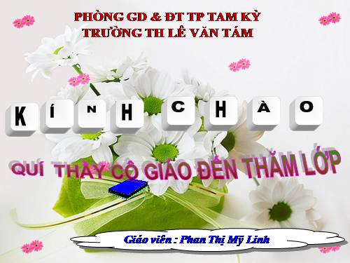 Tuần 8. Bàn tay dịu dàng