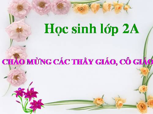 Tuần 13. Quà của bố