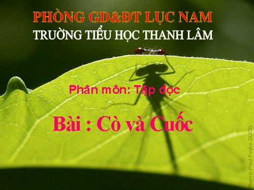 Tuần 22. Cò và Cuốc