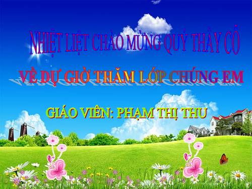 Tuần 12. Mẹ
