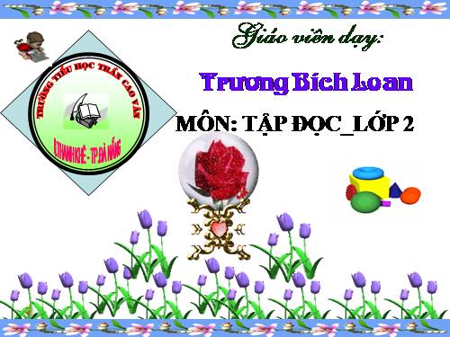 Tuần 31. Cây và hoa bên lăng Bác
