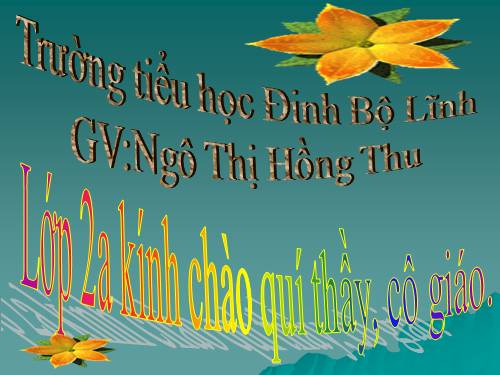 Tuần 16. Con chó nhà hàng xóm