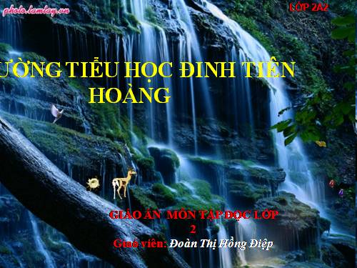 Tuần 14. Câu chuyện bó đũa