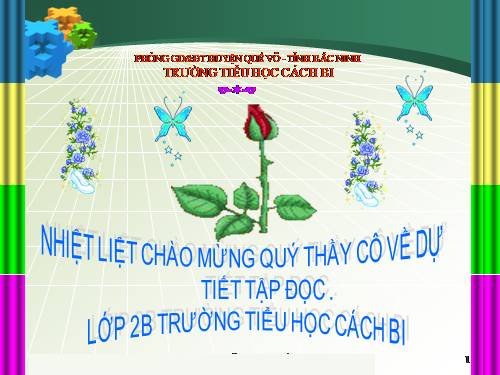 Tuần 8. Bàn tay dịu dàng