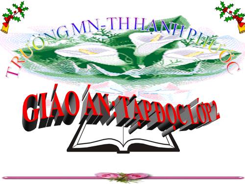 Tuần 11. Cây xoài của ông em