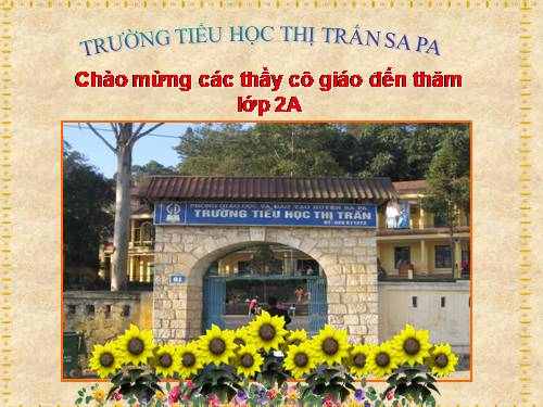 Tuần 31. Cây và hoa bên lăng Bác