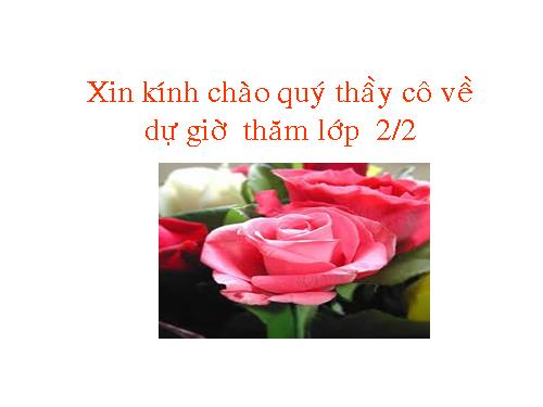 Tuần 11. Cây xoài của ông em