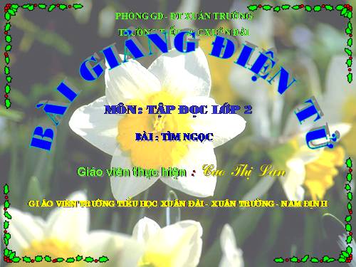 Tuần 17. Tìm ngọc