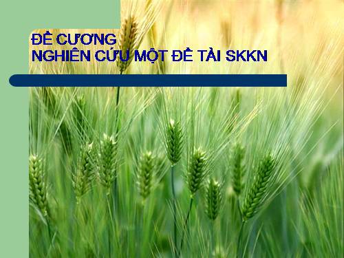 GIAO AN