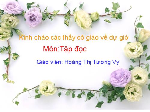 Tuần 8. Bàn tay dịu dàng
