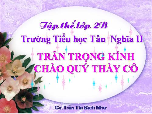 Tuần 28. Cây dừa