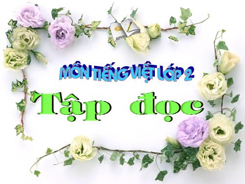 Tuần 28. Cây dừa