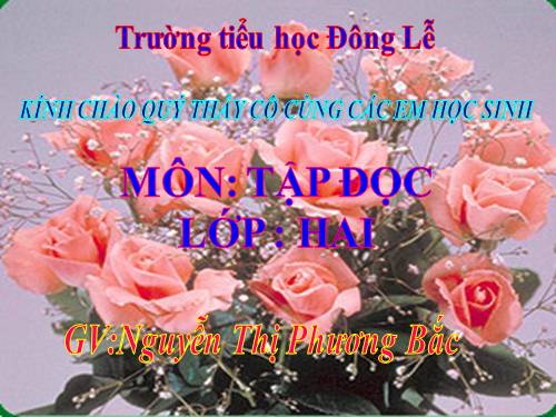 Tuần 8. Bàn tay dịu dàng