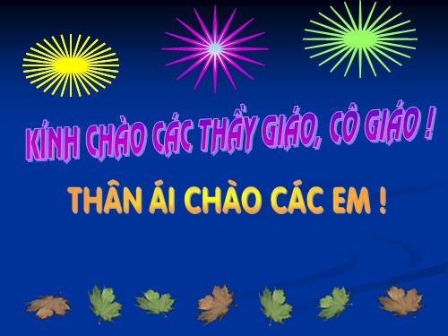 Tuần 8. Bàn tay dịu dàng