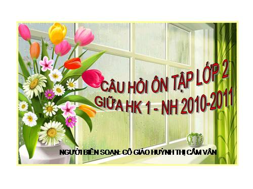 ÔN TẬP KIỂM TRA KHỐI 2-GIỮA HKI-NH 2010-2011