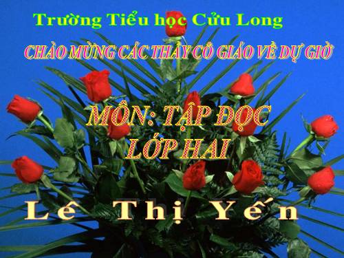 Tuần 28. Cây dừa