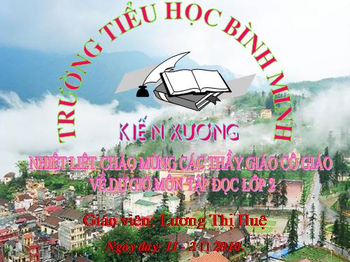 Tuần 28. Cây dừa
