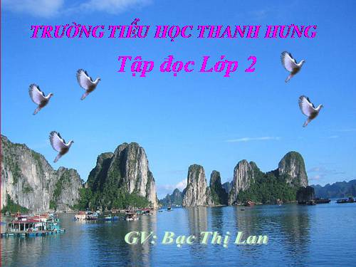 Tuần 11. Cây xoài của ông em