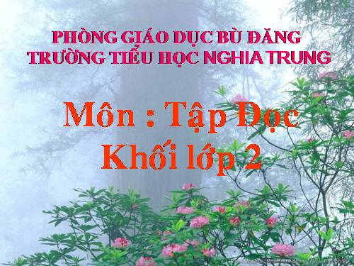 Tuần 31. Cây và hoa bên lăng Bác