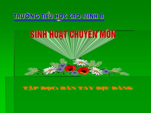 Tuần 8. Bàn tay dịu dàng