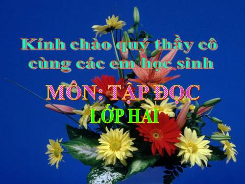 Tuần 20. Mùa xuân đến