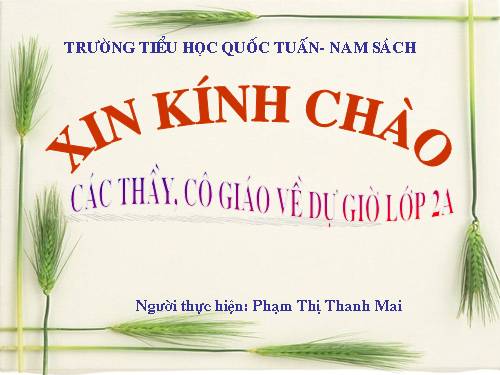 Tuần 4. Trên chiếc bè