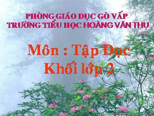Tuần 31. Cây và hoa bên lăng Bác