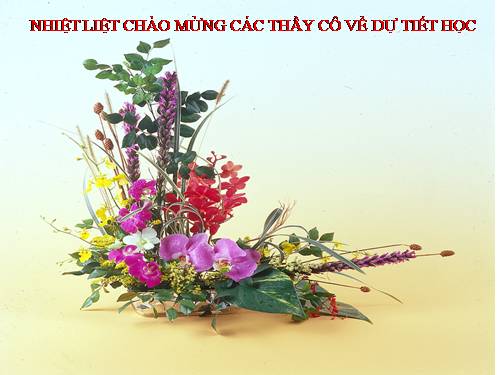 Tuần 31. Cây và hoa bên lăng Bác