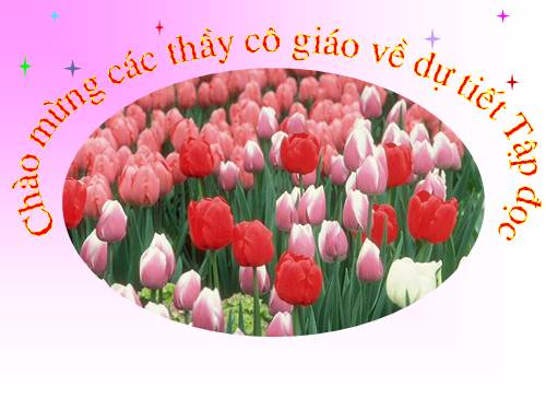 Tuần 12. Mẹ