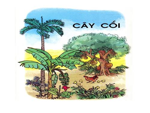 Tuần 28. Kho báu