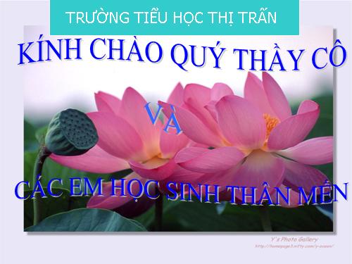 Tuần 29. Những quả đào