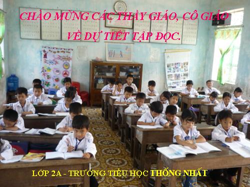 Tuần 8. Bàn tay dịu dàng