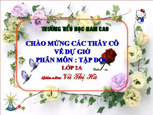 Tuần 28. Cây dừa