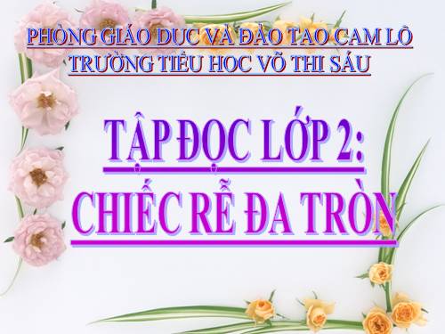 Tuần 31. Chiếc rễ đa tròn
